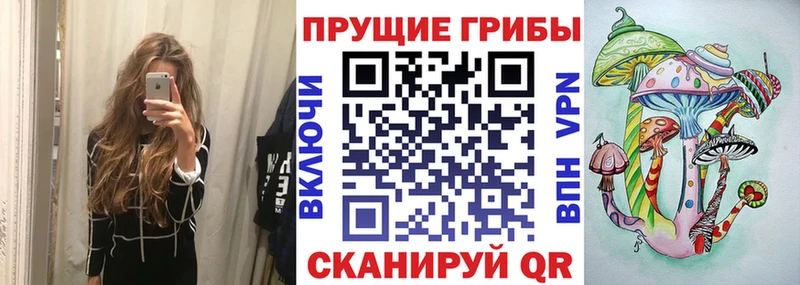 купить  сайты  Каменногорск  Галлюциногенные грибы GOLDEN TEACHER 